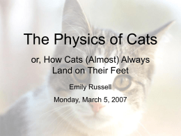 The Physics of Cats