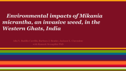 Environmental impacts of Mikania micrantha, an invasive weed, in