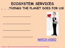 ECOSYSTEM SERVICES . . .THINGS THE PLANET DOES FOR US!
