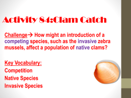 Activity 84: Clam Catch