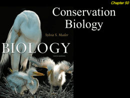 Conservation Powerpoint