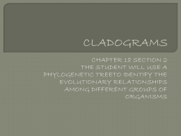 CLADOGRAMS
