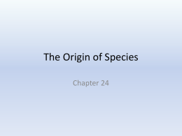 Chap. 24 Orgin of Species