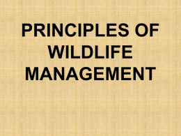 Wildlife Management