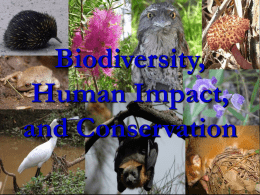Biodiversity, Human Impact, and Conservation