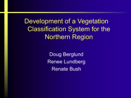 Development of a Vegetation Classification