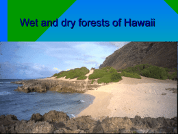Dry and Wet Forests