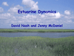 Estuarine Dynamics David Nash and Jenny McDaniel Overview