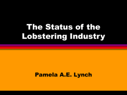 Lobster lecture 6 (extra)