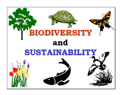 biodiversity and sustainability 2010 working