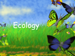 Unit 2 Notes: Ecology