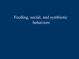 Social behaviors and feeding