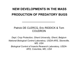 Mass production of predatory bugs
