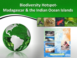 Week 7 Biodiversity Hotspot_Richa - Science-ed12