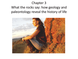 Chapter 3 Geology, paleontology and diversification of life