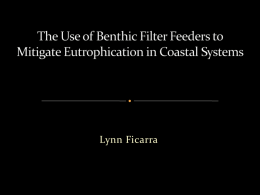 Ficarra Filter Feeder - BIOEEOS660-f12