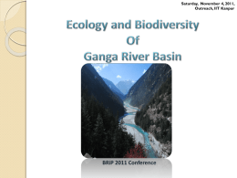 Biological Community of Upper Ganga Phytoplankton