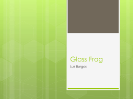 Glass Frog - UpWardBoundSummerScience