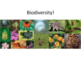 Biodiversity Presentation Powerpoint (ppt)