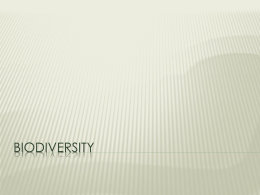 Biodiversity File