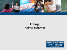 Animal Behavior PPT