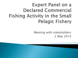 Expert Panel on a Declared Commercial Fishing Activity in the Small