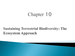 Terrestrial Biodiversity Powerpoint