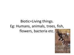 Abiotic=non-living things. Eg: Sunlight, minerals, air, soil, water, etc.