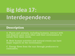 Big Idea 17 : Interdependence