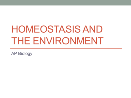 Homeostasis and the envrionment