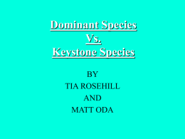 Dominant Species Vs. Keystone Species