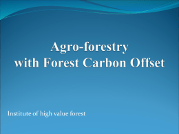 Agro-forestry 2012 Proposal