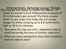 Interactions Among Living Things notes