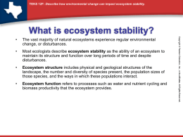 What is ecosystem stability?