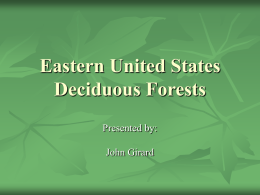 Eastern United States Deciduous Forests