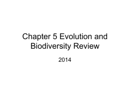 Chapter 5 Evolution and Biodiversity Review