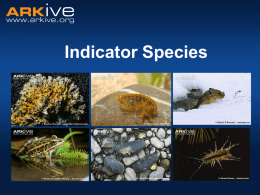 Indicator Species What is an indicator species?