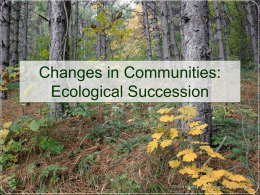Ecological Succession notes and worksheet