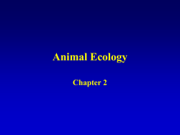 Animal Ecology - Matthew Bolek