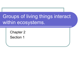 Groups of living things interact within ecosystems.