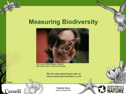 Measuring Biodiversity