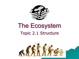 The ecosystem – 2.1 Structure