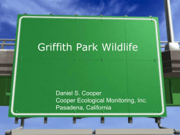 Griffith Park Wildlife