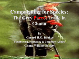 Threatening effects of mining on Ghana’s IBAs