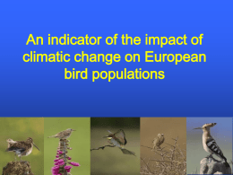 Using Birds As Indicators of Biodiversity