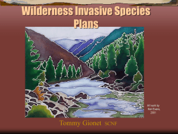 Wilderness Invasive Species Plans