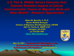 U.S. Fish & Wildlife Service Involvement with Wind Energy