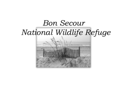 Bon Secour National Wildlife Refuge