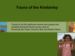 DAY 1 Terrestrial Env. Fauna of the Kimberly