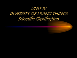 Scientific Classification